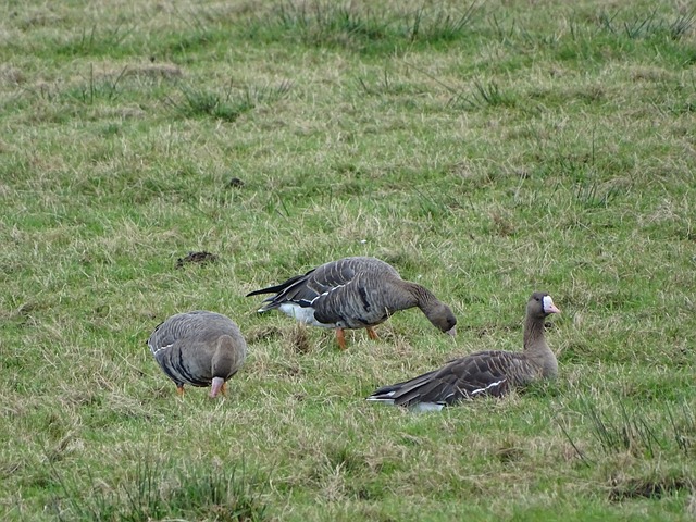 住比赛的转 住比赛的转