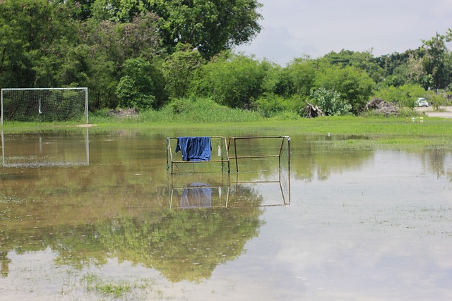 顶级联赛 顶级联赛