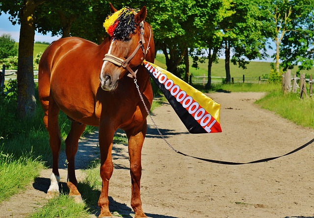 利物浦沒收遠藤航球迷應援橫幅.