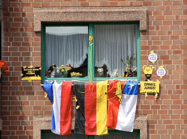 球迷关注的 球迷关注的