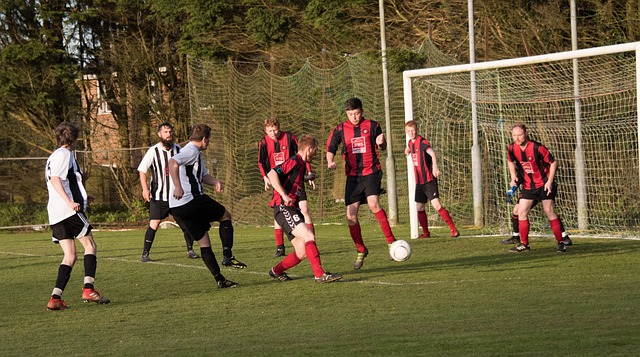 共和党历来 共和党历来