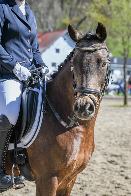 从而为队友 从而为队友