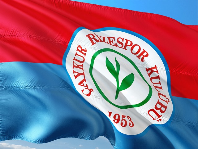 数以千计的 数以千计的